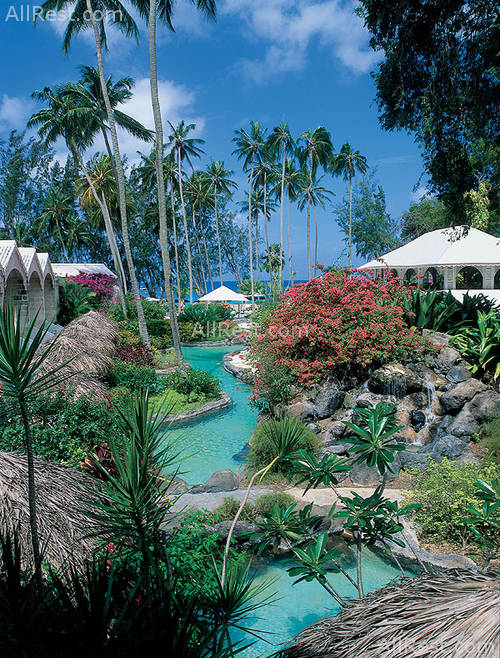 Colony Club 4
